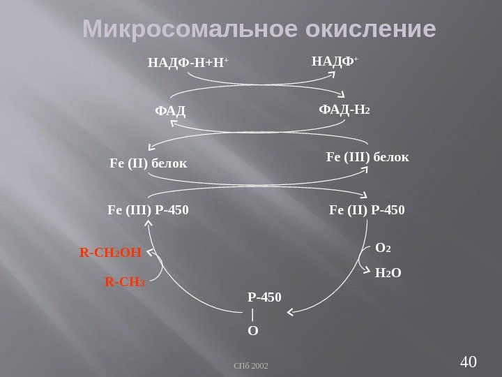 СПб 2002 40 Микросомальное окисление НАДФ-Н+Н + НАДФ + ФАД-Н 2 Fe (II) белок