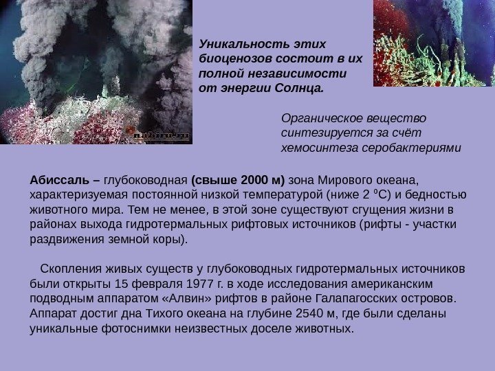 Абиссаль – глубоководная (свыше 2000 м) зона Мирового океана,  характеризуемая постоянной низкой температурой