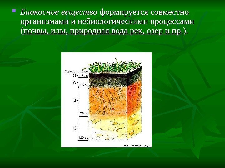  Биокосное вещество формируется совместно организмами и небиологическими процессами (( почвы, илы, природная вода