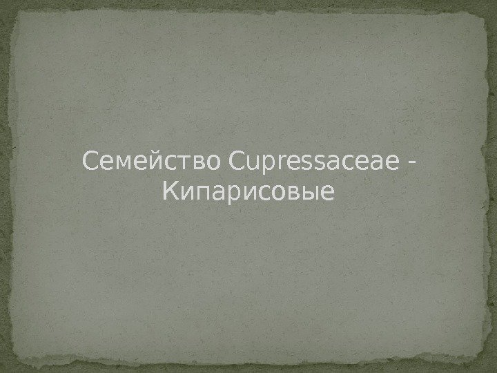 Семейство Cupressaceae - Кипарисовые 