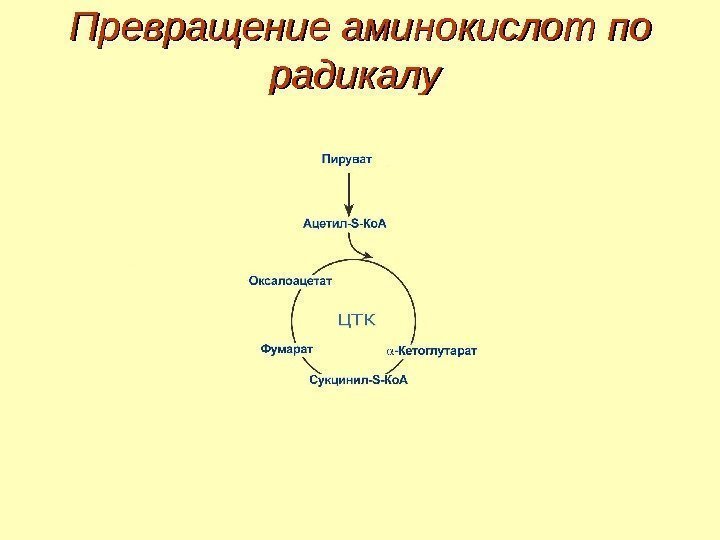 Превращение аминокислот по радикалу 