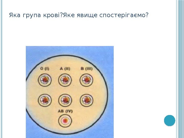 Яка група крові? Яке явище спостерігаємо? 