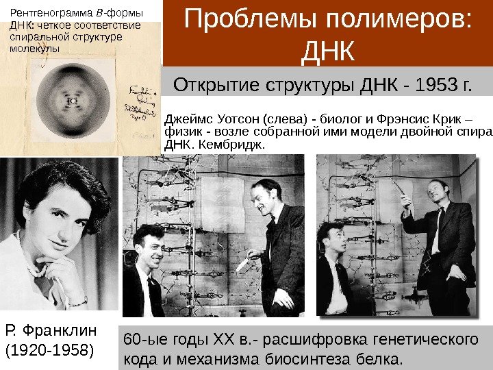 Открытие структуры ДНК - 1953 г.  Джеймс Уотсон (слева) - биолог и Фрэнсис