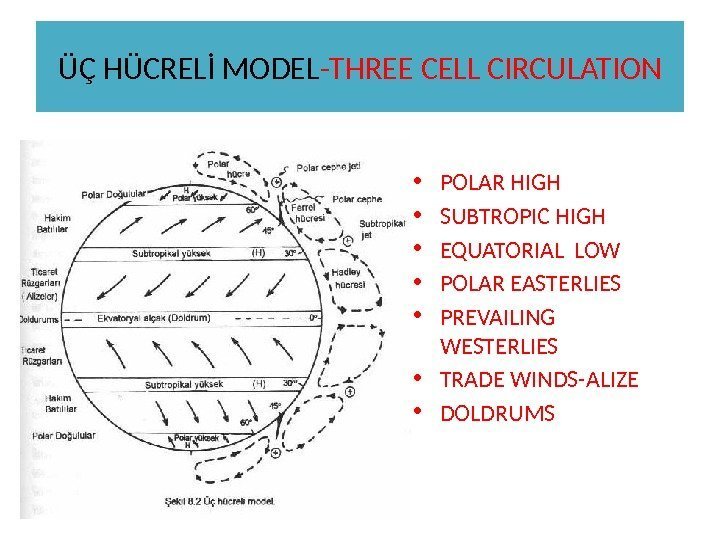 ÜÇ HÜCRELİ MODEL -THREE CELL CIRCULATION • POLAR HIGH • SUBTROPIC HIGH • EQUATORIAL