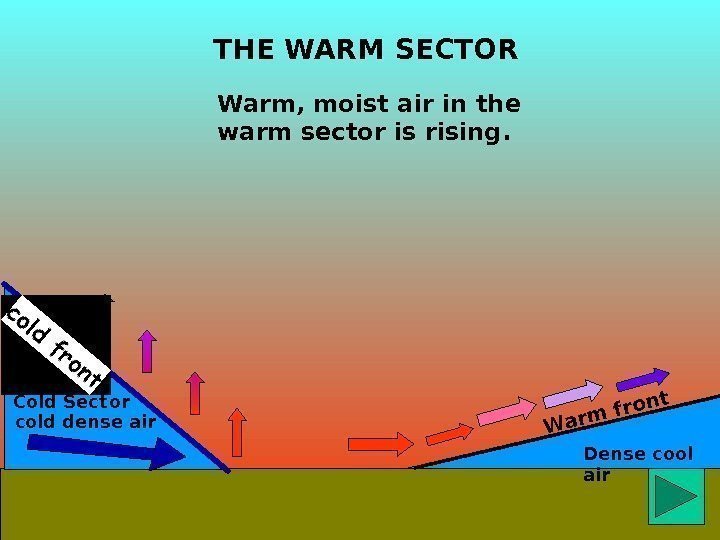 Dense cool air. THE WARM SECTORWarm front Warm, moist air in the warm sector