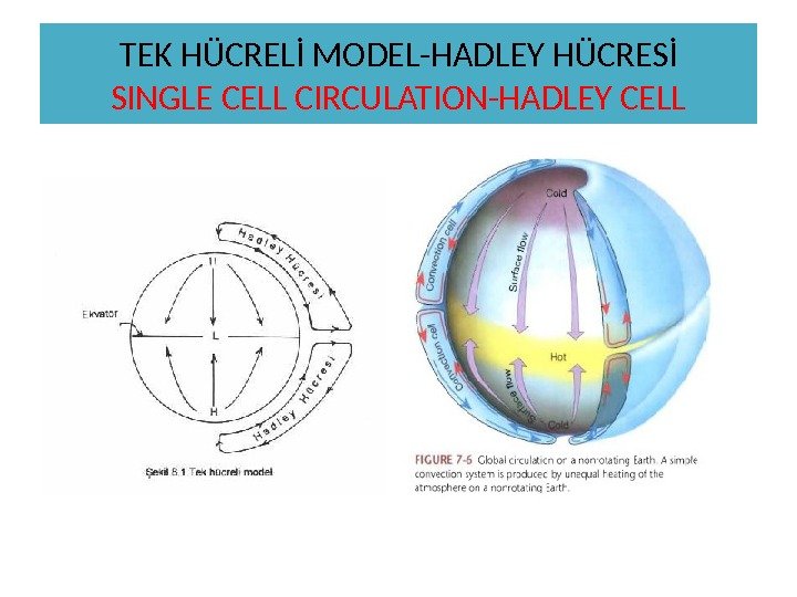 TEK HÜCRELİ MODEL-HADLEY HÜCRESİ SINGLE CELL CIRCULATION-HADLEY CELL 