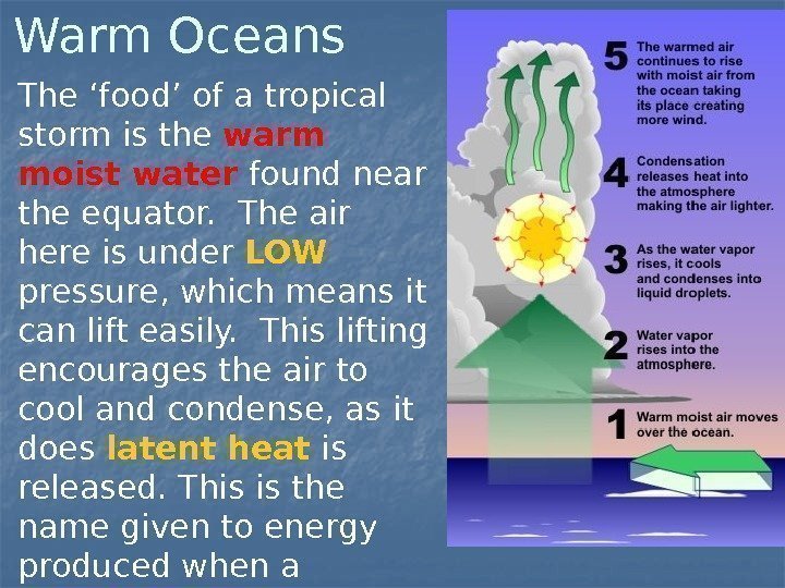 Warm Oceans The ‘food’ of a tropical storm is the warm moist water found