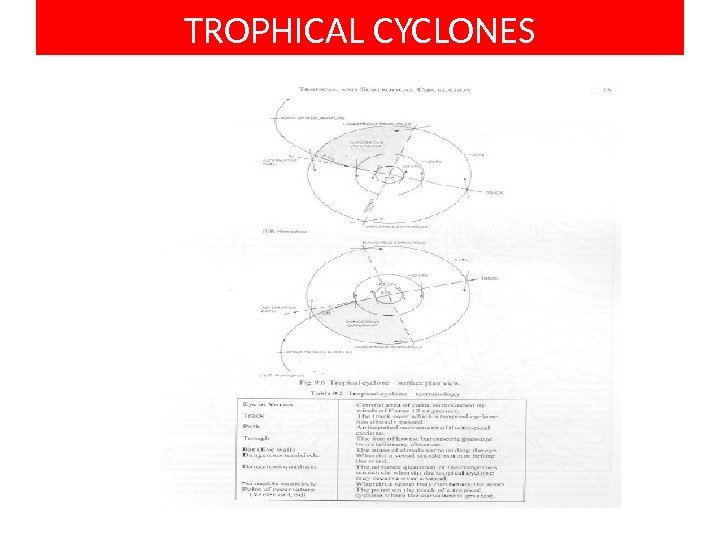 TROPHICAL CYCLONES 