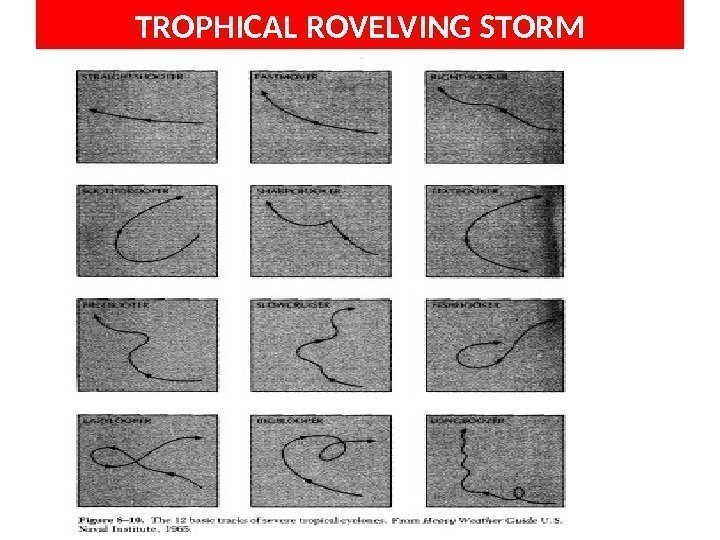 TROPHICAL ROVELVING STORM 