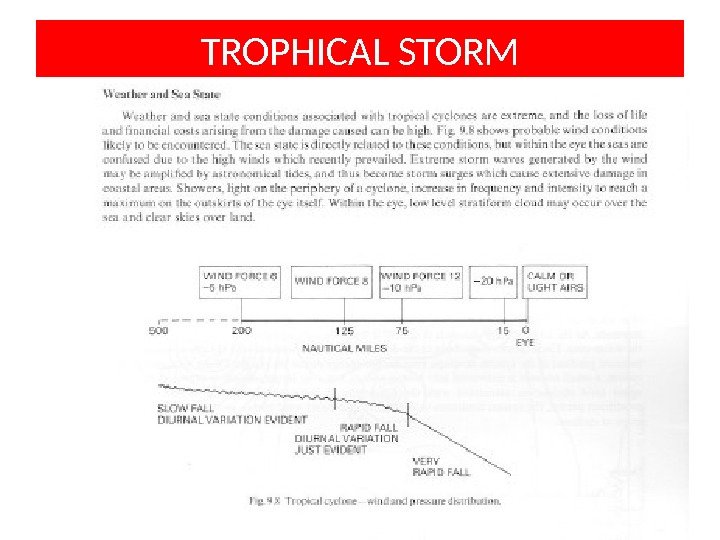 TROPHICAL STORM 