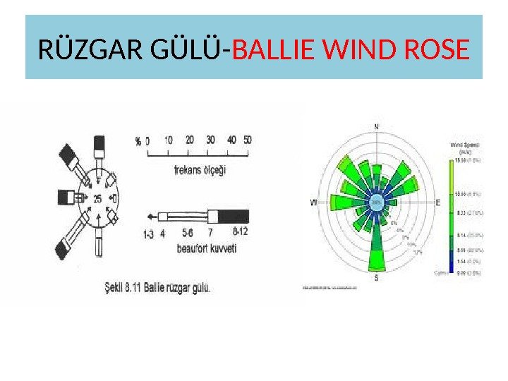 RÜZGAR GÜLÜ- BALLIE WIND ROSE 