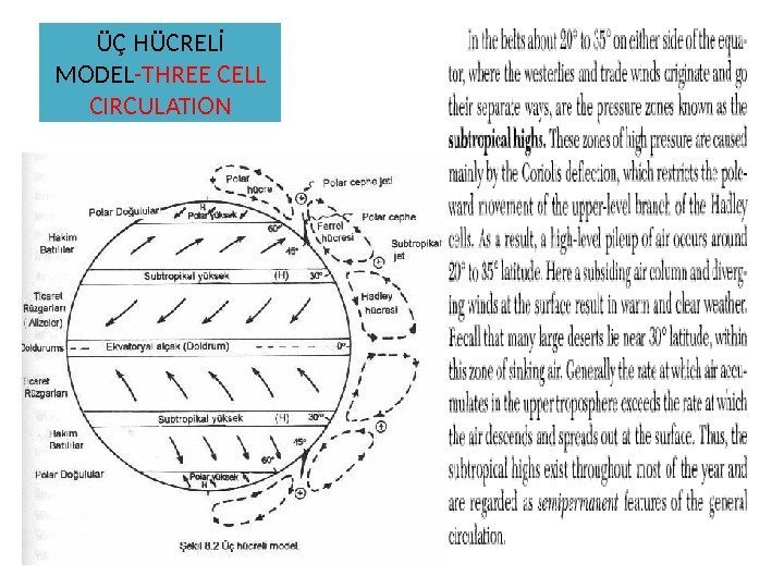 ÜÇ HÜCRELİ MODEL -THREE CELL CIRCULATION 