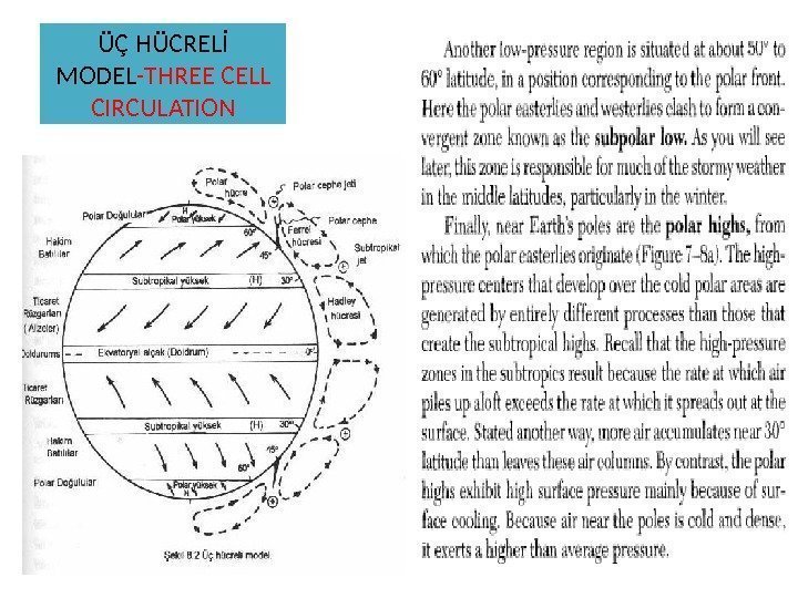 ÜÇ HÜCRELİ MODEL -THREE CELL CIRCULATION 