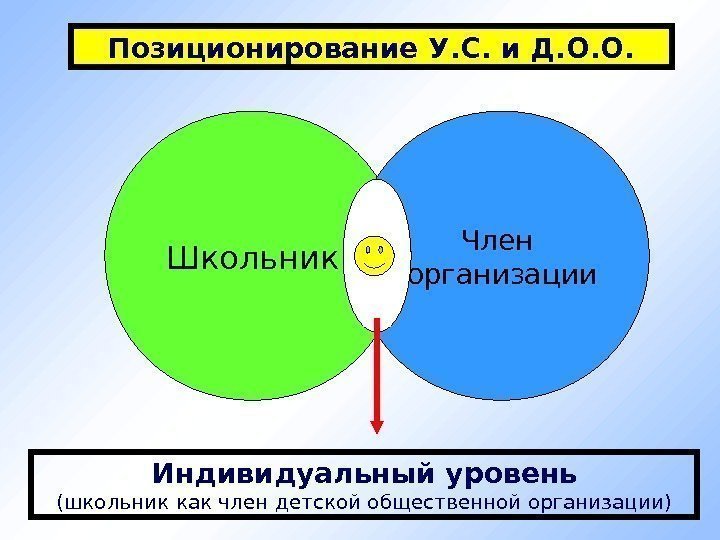 Позиционирование У. С. и Д. О. О. Школьник Член организации Индивидуальный уровень (школьник как