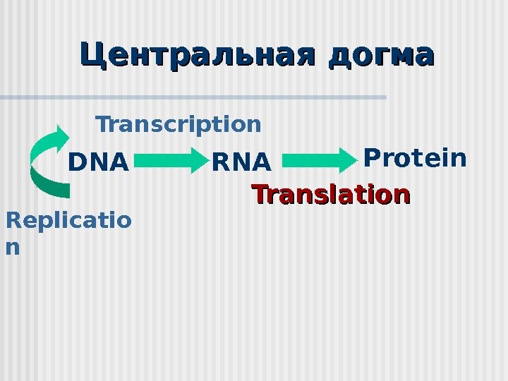 DNA RNA Protein Replicatio n Transcription Translation. Центральная догма  