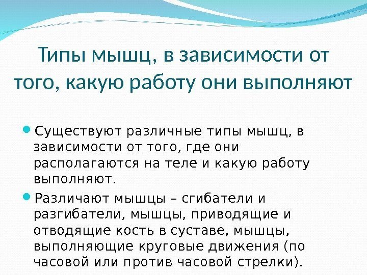 Типы мышц, в зависимости от того, какую работу они выполняют Существуют различные типы мышц,