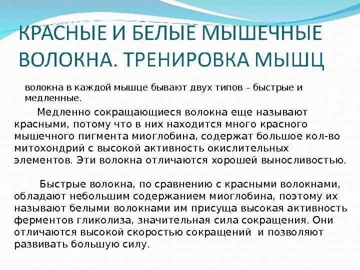 волокна в каждой мышце бывают двух типов – быстрые и медленные.  Медленно сокращающиеся