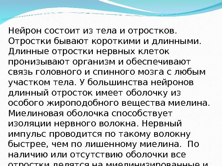 Нейрон состоит из тела и отростков.  Отростки бывают короткими и длинными.  Длинные