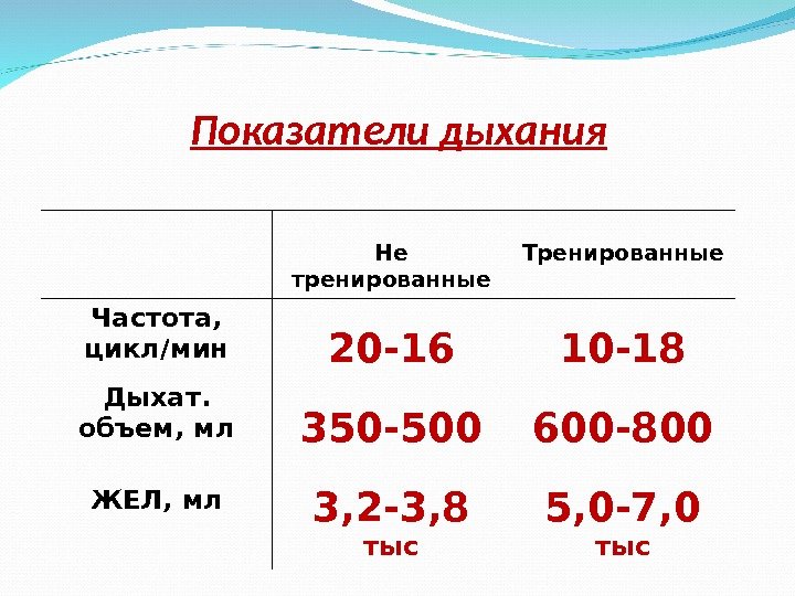 Частота дыхания человека в состоянии покоя