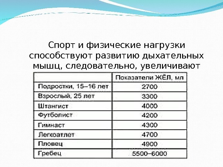 Спорт и физические нагрузки способствуют развитию дыхательных мышц, следовательно, увеличивают ЖЕЛ 