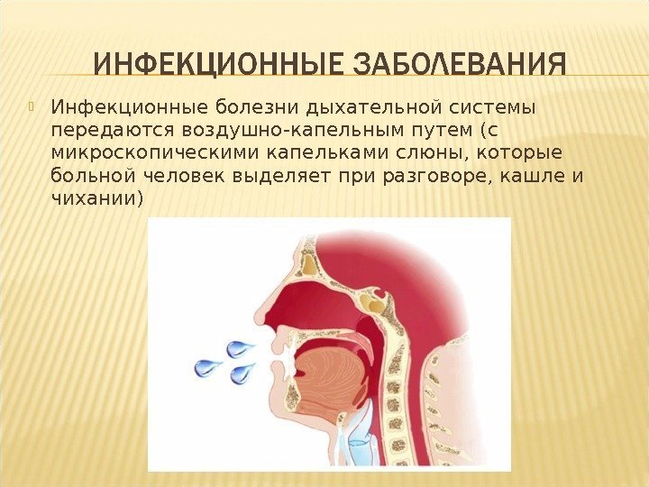  Инфекционные болезни дыхательной системы передаются воздушно-капельным путем (с микроскопическими капельками слюны, которые больной