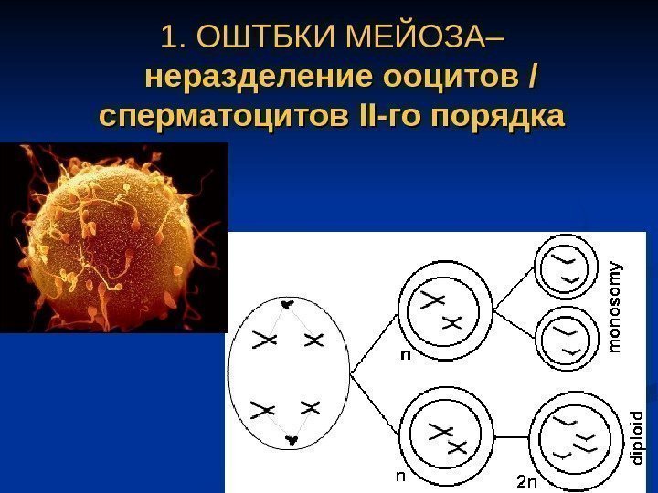 1. 1.  ОШТБКИ МЕЙОЗА – –  неразделение ооцитов / / сперматоцитов IIII