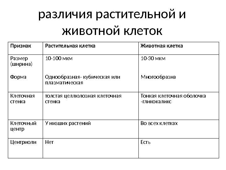 различия растительной и животной клеток Признак Растительная клетка Животная клетка Размер (ширина) 10 -100