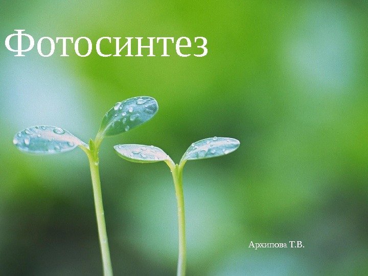 Фотосинтез Архипова Т. В. 