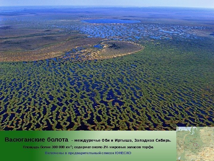 Васюганские болота  – междуречье Оби и Иртыша, Западная Сибирь.  Площадь более 300
