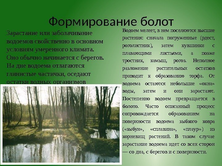 Формирование болот Зарастание или заболачивание водоемов свойственно в основном условиям умеренного климата.  Оно