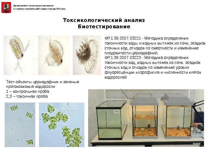 Департамент природопользования и охраны окружающей среды города Москвы ФР. 1. 39. 2007. 03221 -