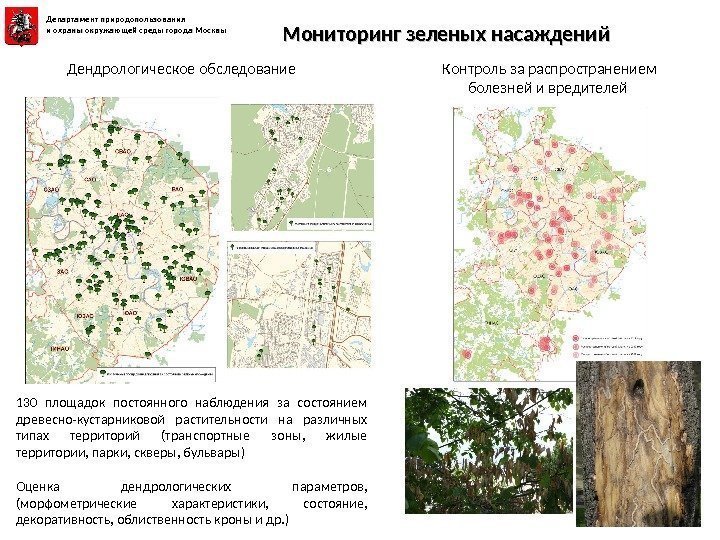 130 площадок постоянного наблюдения за состоянием древесно-кустарниковой растительности на различных типах территорий (транспортные зоны,