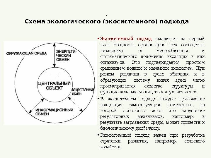 . Схема экологического (экосистемного) подхода • Экосистемный подход выдвигает на первый план общность организации