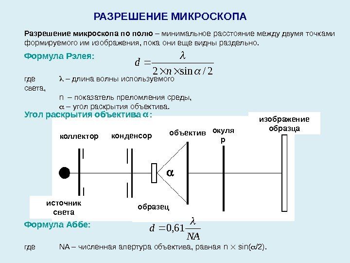 Угол раскрытия объектива  : РАЗРЕШЕНИЕ МИКРОСКОПА  Формула Рэлея :  Разрешение микроскопа
