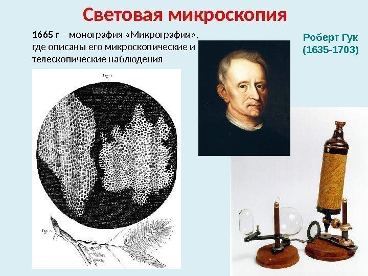 Световая микроскопия Роберт Гук (1635 -1703)1665 г – монография «Микрография» ,  где описаны