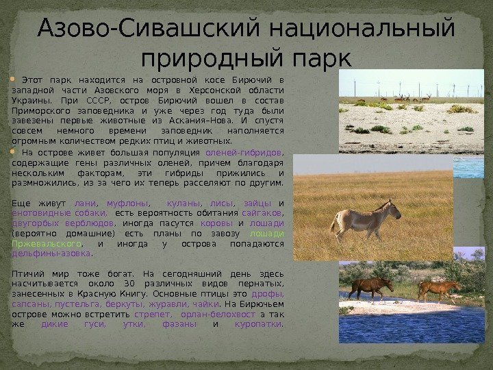  Этот парк находится на островной косе Бирючий в западной части Азовского моря в