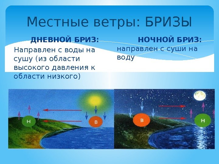 Местные ветры: БРИЗЫ   ДНЕВНОЙ БРИЗ: Направлен с воды на сушу (из области