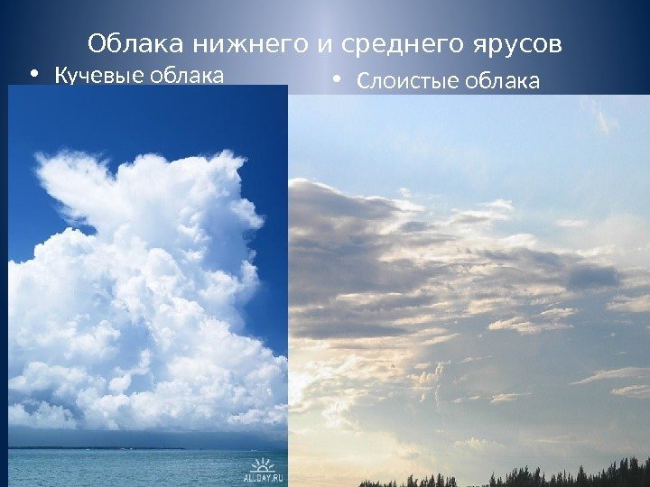 Облака нижнего и среднего ярусов • Кучевые облака • Слоистые облака 
