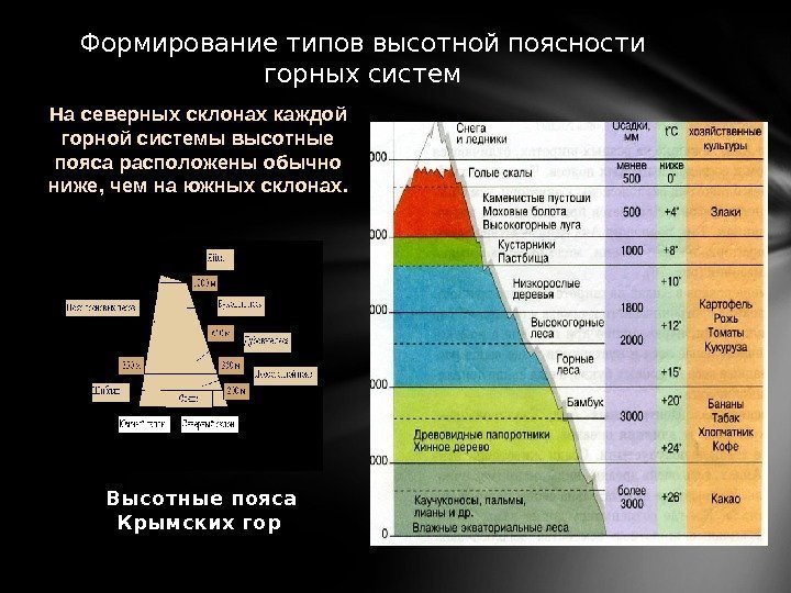 Формирование типов высотной поясности горных систем На северных склонах каждой горной системы высотные пояса