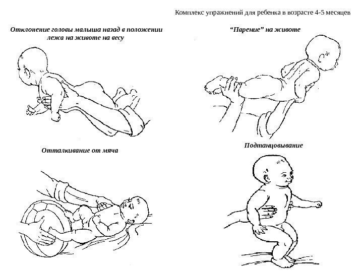 Отклонение головы малыша назад в положении лежа на животе на весу Комплекс упражнений для