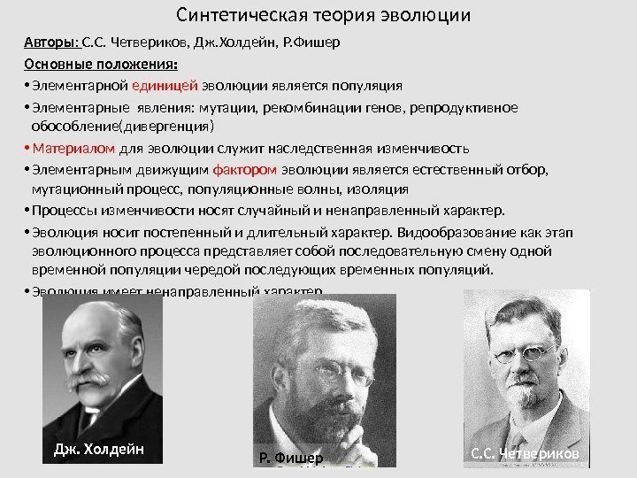 Синтетическая теория эволюции Авторы :  С. С. Четвериков, Дж. Холдейн, Р. Фишер Основные