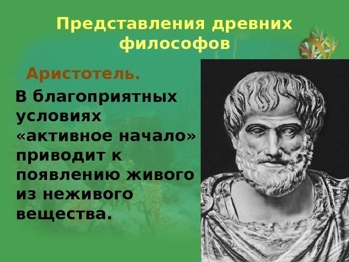 Представления древних философов Аристотель.  В благоприятных условиях  «активное начало»  приводит к