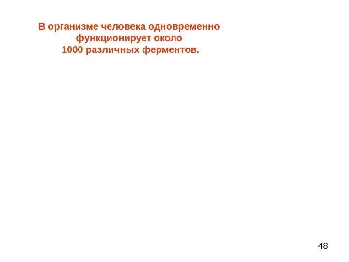 48 В организме человека одновременно функционирует около 1000 различных ферментов. 