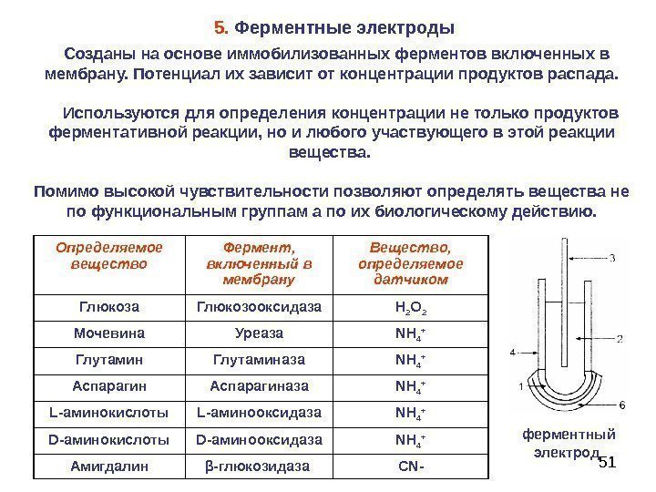 51  Созданы на основе иммобилизованных ферментов включенных в мембрану. Потенциал их зависит от