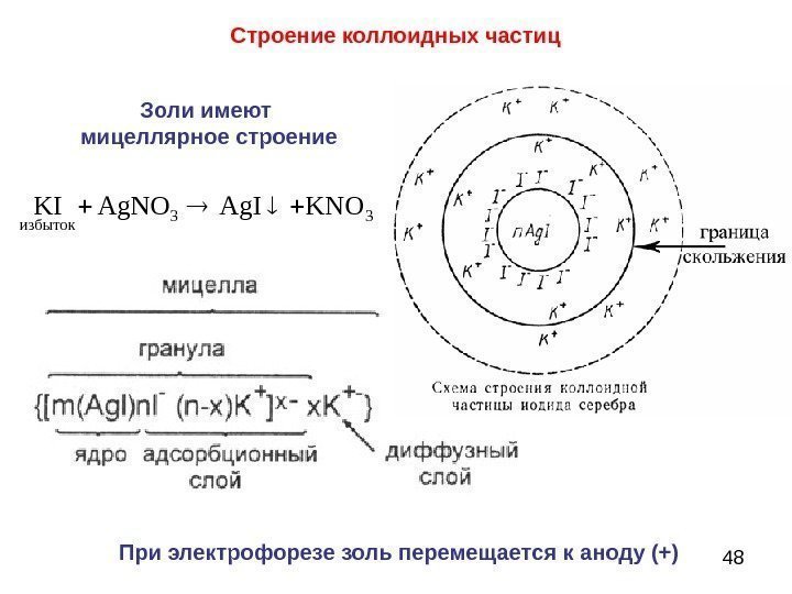 48 Строение коллоидных частиц Золи имеют мицеллярное строение 33 избыток KNOAg. IAg. NOKI При