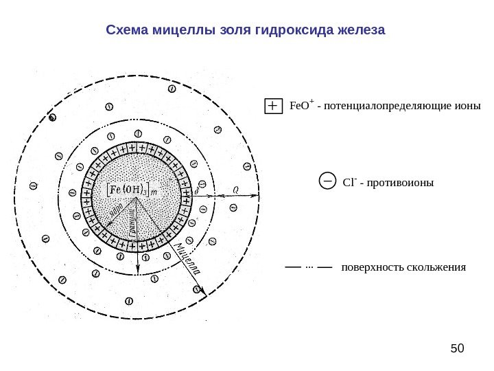 50 Схема мицеллы золя гидроксида железа. Fe. O+ - потенциалопределяющие ионы C l -