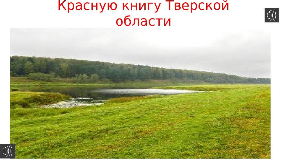 Животные, занесённые в Красную книгу Тверской области 