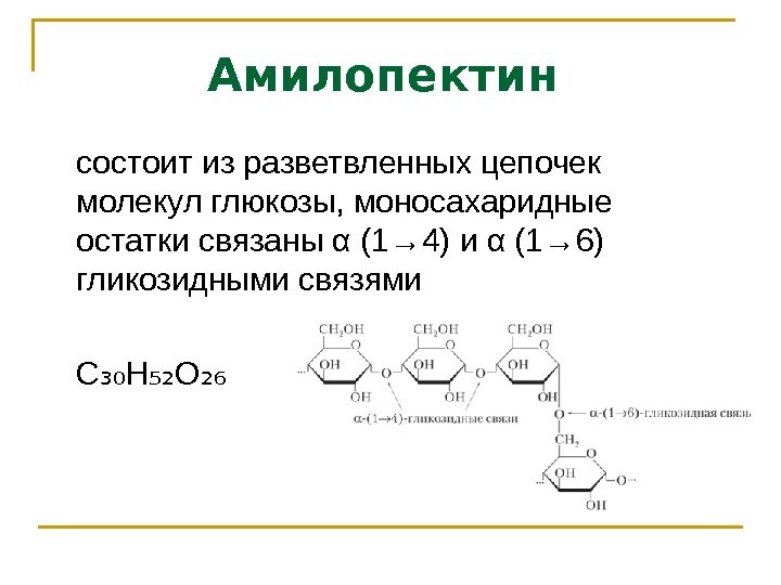 Амилопектин состоит из разветвленных цепочек молекул глюкозы, моносахаридные остатки связаны α (1→ 4) и