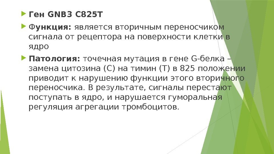  Ген GNB 3 C 825 T Ф ункция: является вторичным переносчиком сигнала от