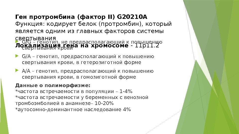 Ген протромбина (фактор II) G 20210 A Функция: кодирует белок (протромбин), который является одним